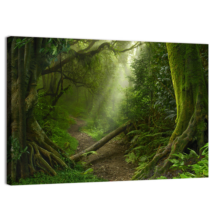 Moss-covered Rainforest Path Wall Art as a canvas print