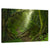 Lush Rainforest Wall Art