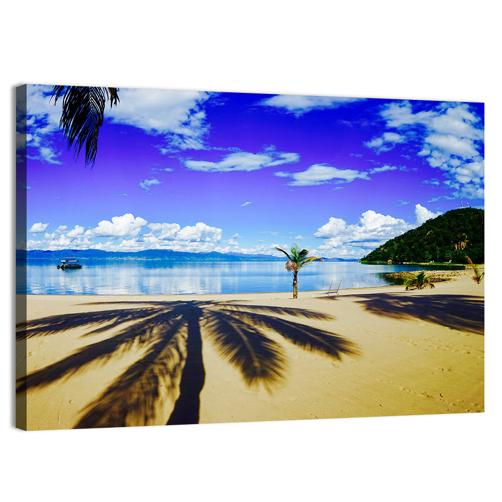 Lake Malawi Palm Shadow Wall Art