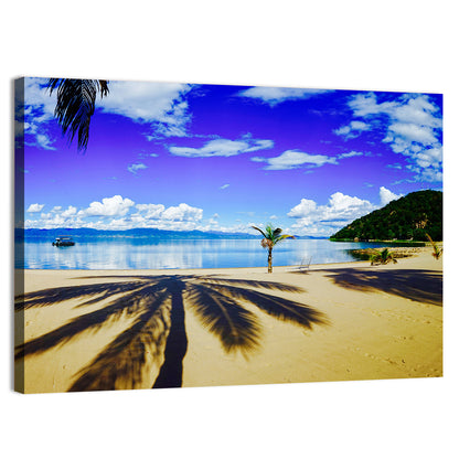 Lake Malawi Palm Shadow Wall Art