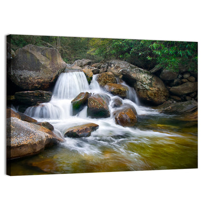 Blue Ridge Mossy Waterfall Wall Art