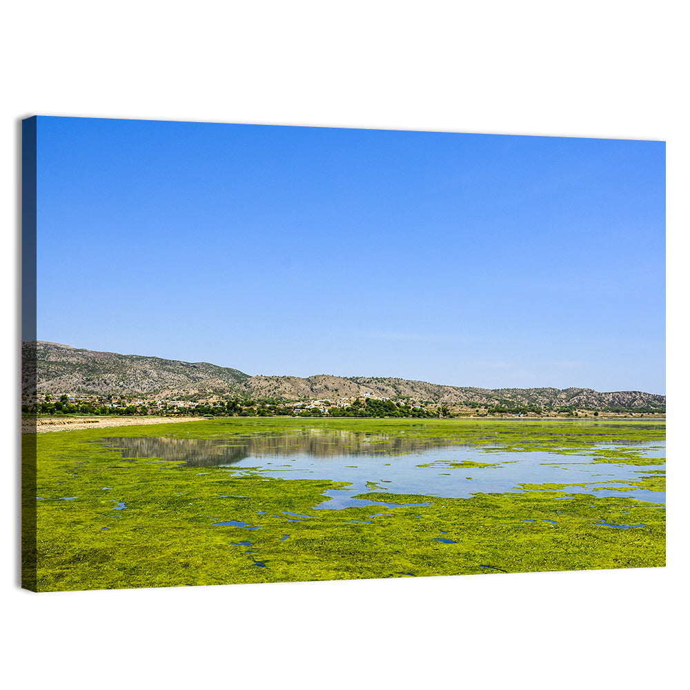 Green Algae in Uchali Lake Wall Art