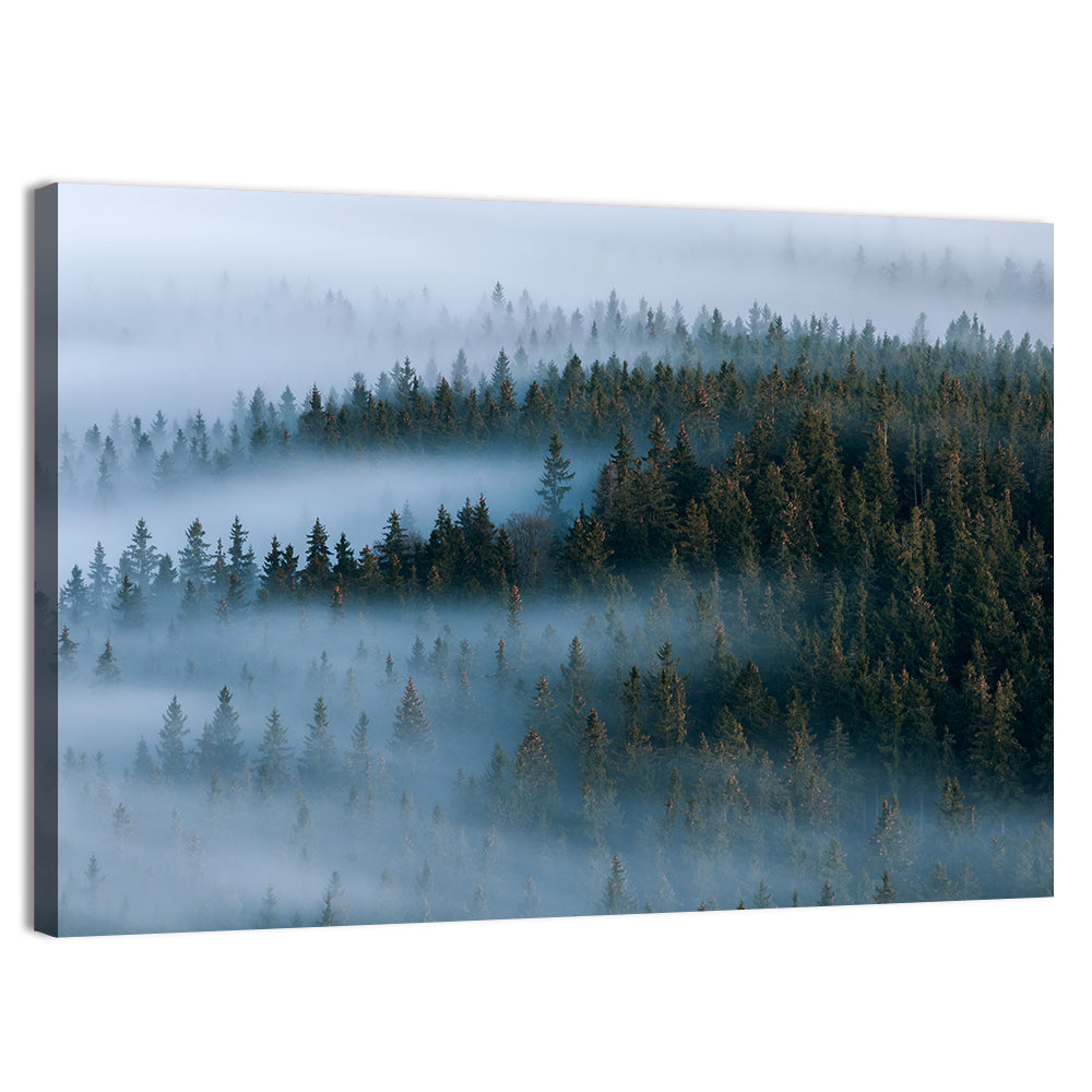 Morning Mist Over Pine Valley Wall Art, canvas print, landscape