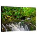 Emerald Jungle Stream Wall Art