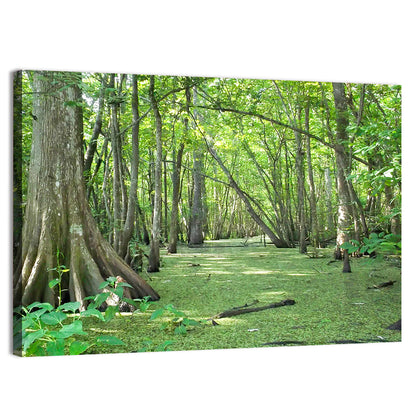 Summer Cypress Bayou, Louisiana Wall Art