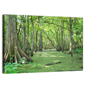 Louisiana Cypress Bayou Wall Art