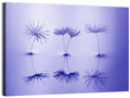 Blue Dandelion Seeds with Reflections Wall Art
