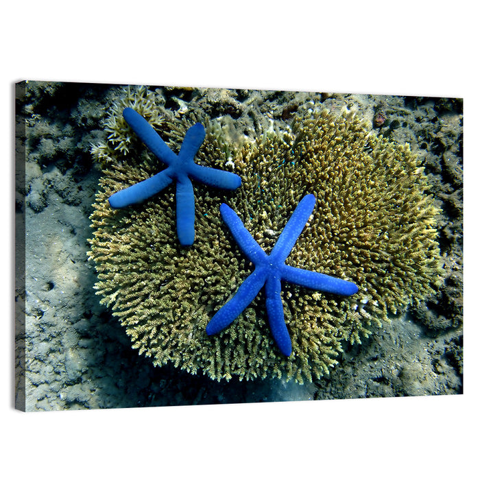 Blue Starfish Wall Art as a canvas print