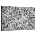 Snowy Aerial Forest Wall Art