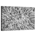Snowy Aerial Forest Wall Art