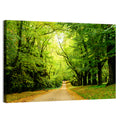 Sunlit Forest Pathway Wall Art