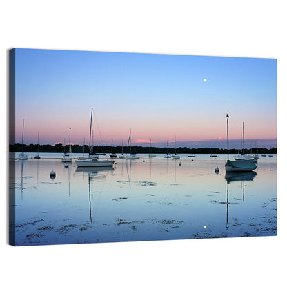 Sailboats on Lake Harriet Wall Art