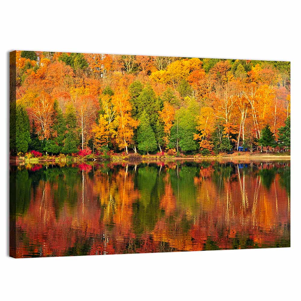 Autumn Forest Reflection Wall Art