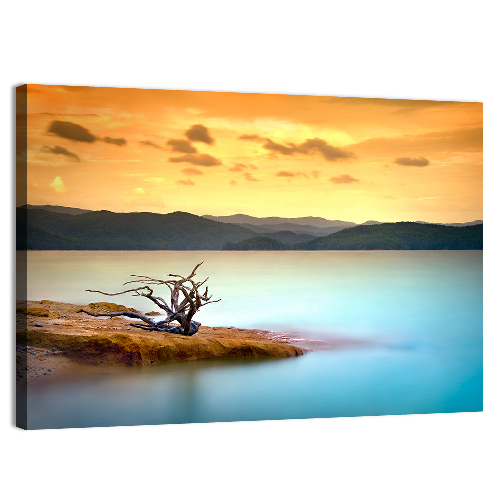 Gnarled Driftwood at Turquoise Lake Wall Art
