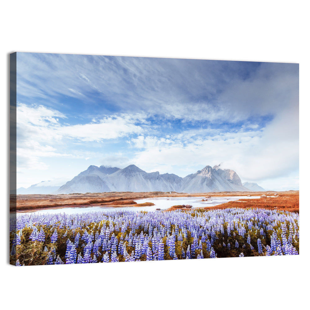 Lupine Fields at Vestrahorn Wall Art
