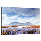 Lupine Fields at Vestrahorn Wall Art