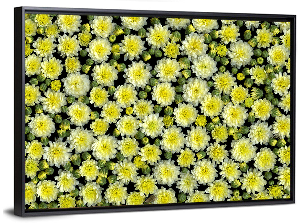 Yellow Chrysanthemum Bloom Pattern Wall Art