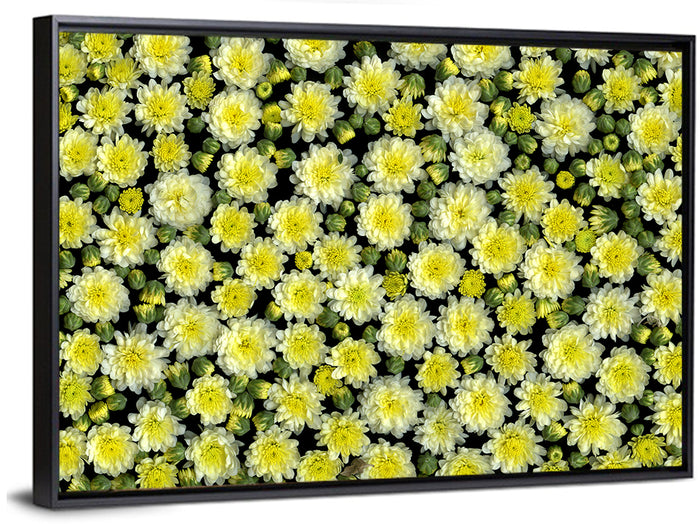 Yellow Chrysanthemum Bloom Pattern Wall Art as a framed canvas