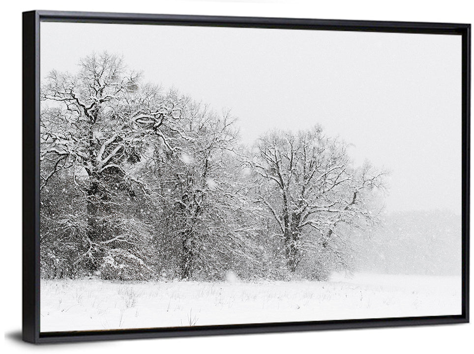 Snow-covered Trees in Fog Wall Art