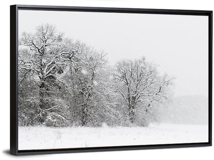 Snow-covered Trees in Fog Wall Art