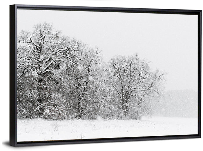 Snow-covered Trees in Fog Wall Art as a framed canvas