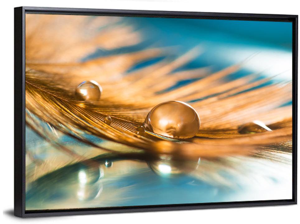Golden Feather with Droplets Wall Art