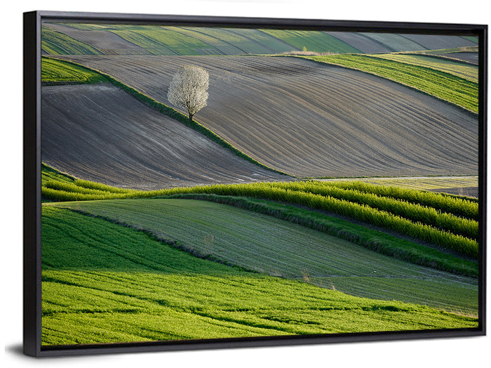 Springtime Polish Fields Wall Art as a framed canvas