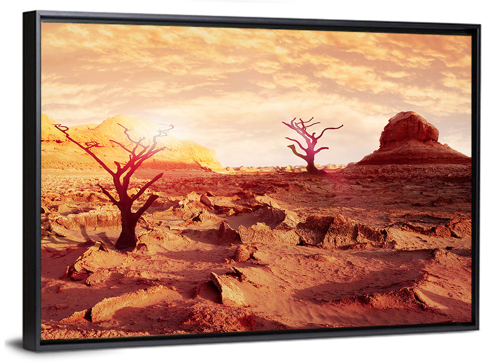 Gnarled Trees at Desert Sunset Wall Art
