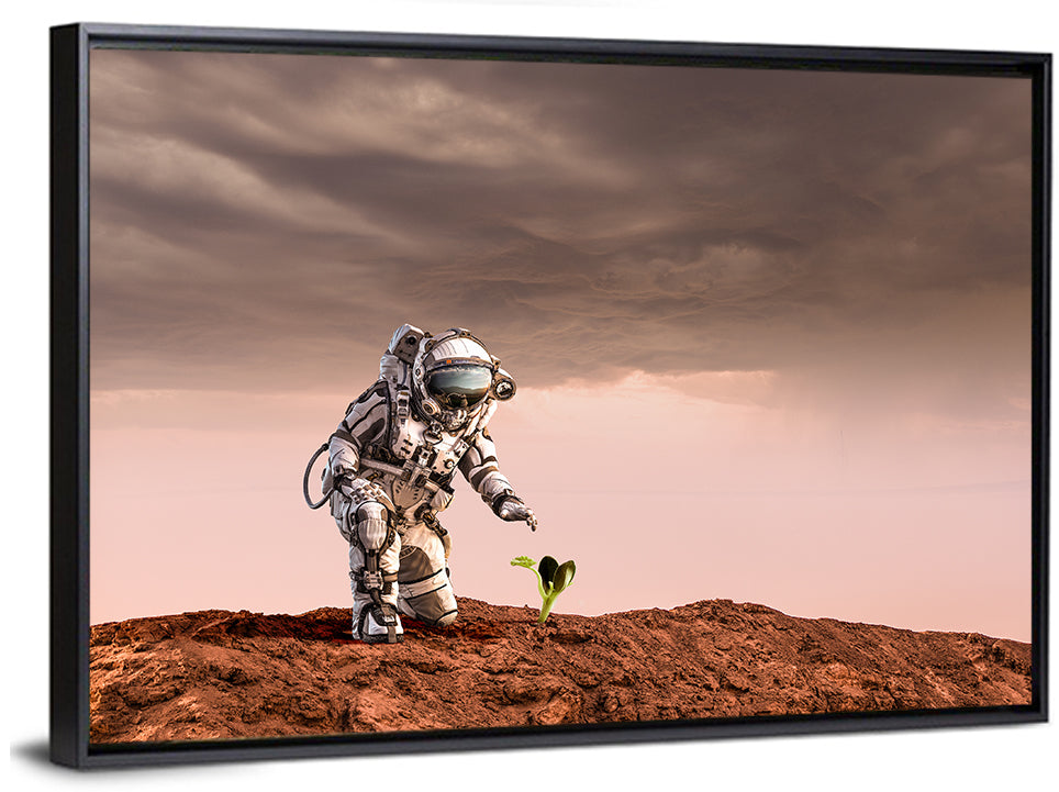 Martian Seedling Concept Wall Art