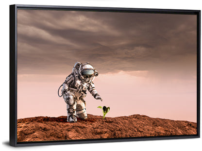 Martian Seedling Concept Wall Art