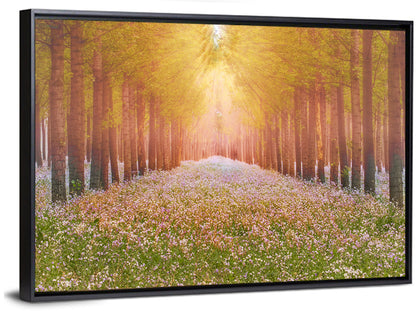 Golden Morning Forest Path Wall Art