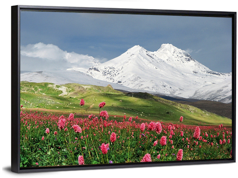 Caucasus Spring Wildflower Meadow Wall Art