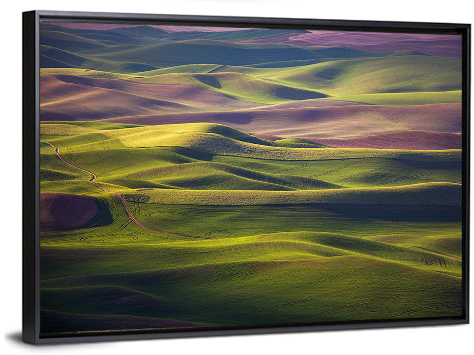 Palouse Farmland at Golden Hour Wall Art