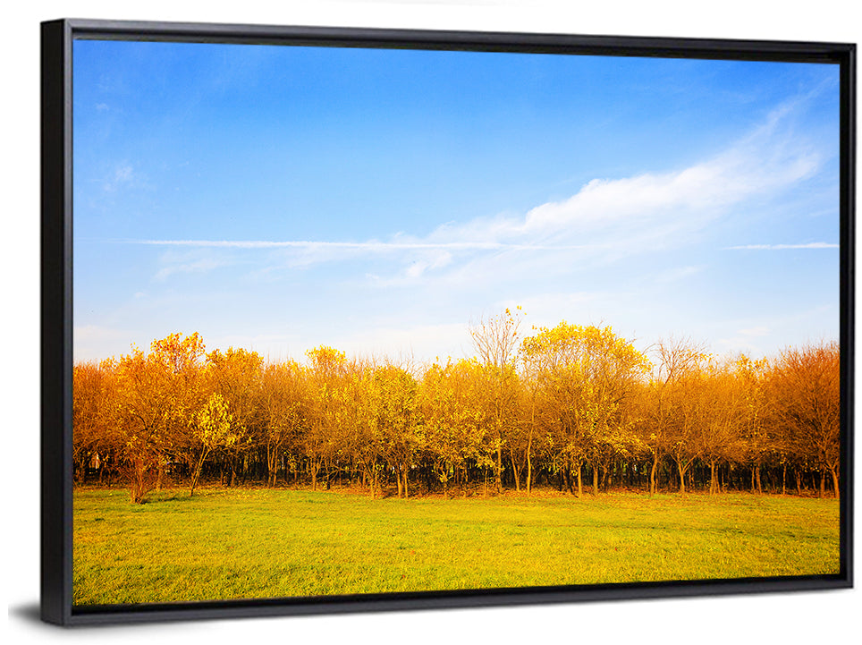 Autumn Forest Meadow Wall Art