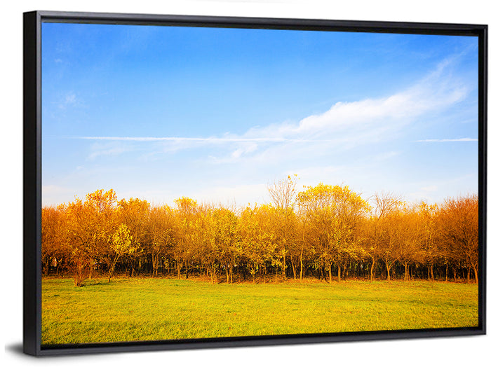 Autumn Forest Meadow Wall Art as a framed canvas
