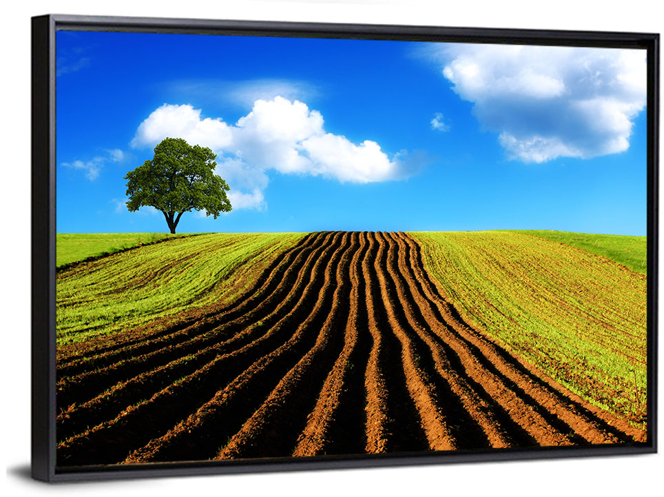 Plowed Field with Lone Tree Wall Art