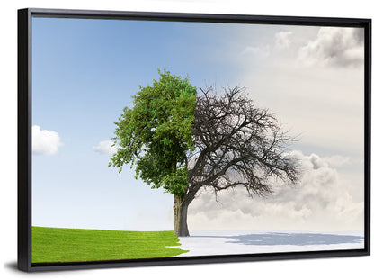 Summer to Winter Split Tree Wall Art