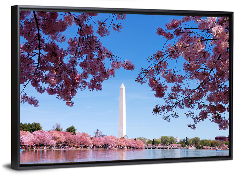 Washington Monument with Cherry Blossoms Wall Art