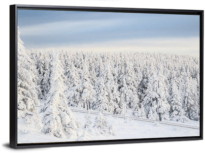 Snowy Forest Railway Tracks Wall Art