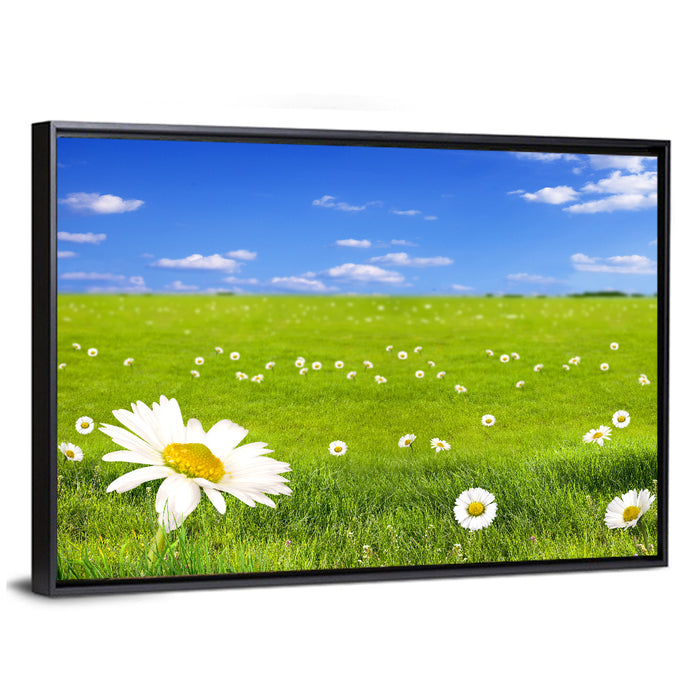 Spring Daisy Meadow Wall Art as a framed canvas