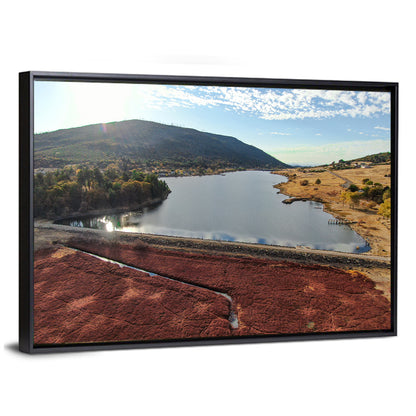 Lake Cuyamaca Aerial View Wall Art