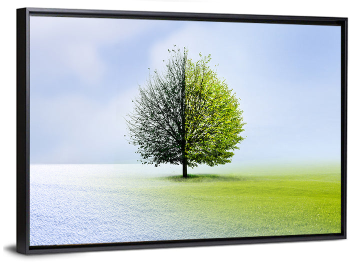 Winter to Spring Tree Wall Art as a framed canvas