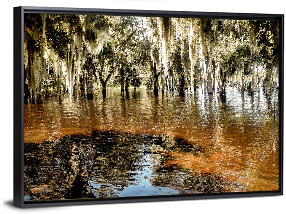 Spanish Moss Swamp at Lake Jesup Wall Art