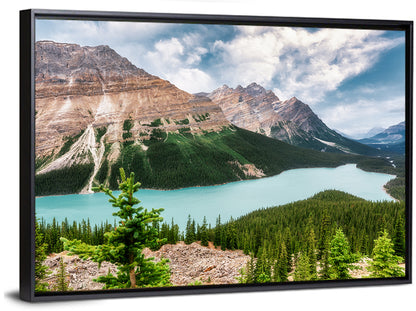 Peyto Lake Scenic View Wall Art