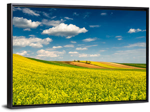 Canola Fields Wall Art