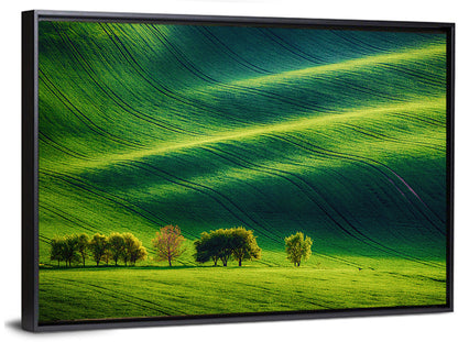 Southern Moravia Rolling Fields Wall Art