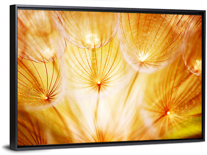 Golden Hour Dandelion Seed Macro Abstract Wall Art as a framed canvas