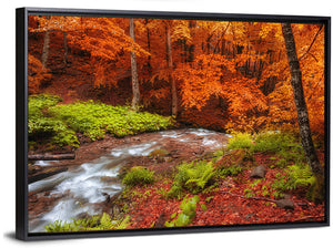 Autumn Forest Stream Wall Art