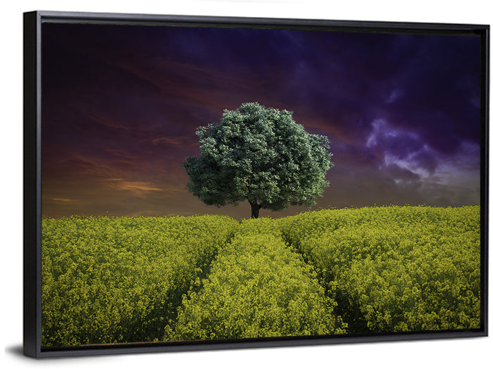 Solitary Tree in Yellow Field Wall Art as a framed canvas