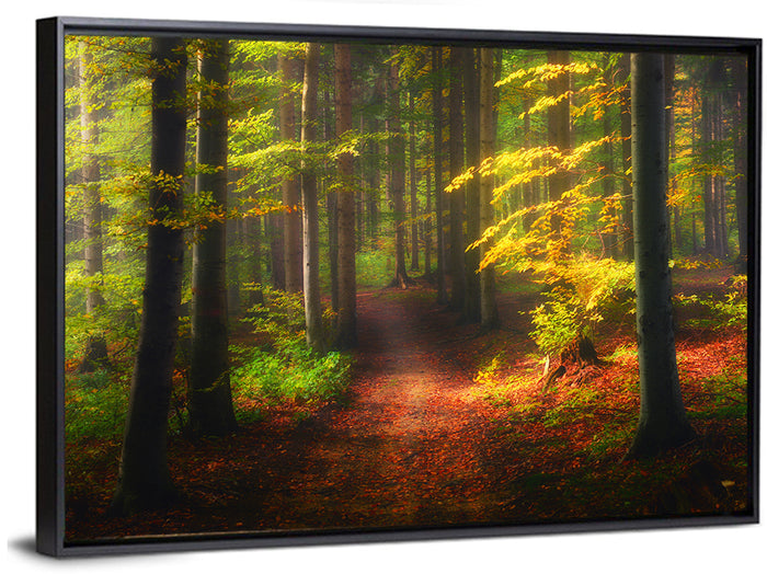 Autumn Forest Pathway Wall Art as a framed canvas